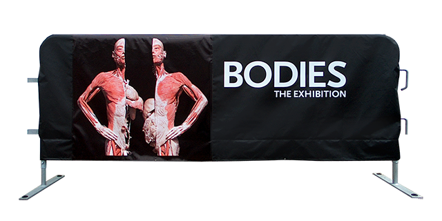 Bodies