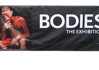 bodies-01-21-06-d