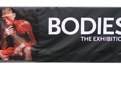 Bodies Exhibit