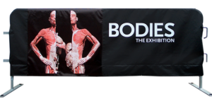 Bodies Exhibit