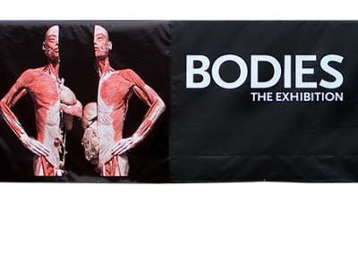 bodies-03-01-06-b