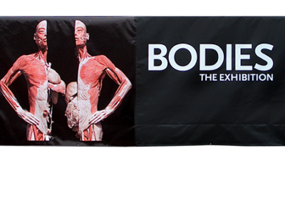 Bodies Exhibit