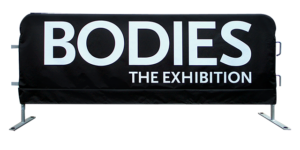 Bodies Exhibit