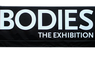 Bodies Exhibit