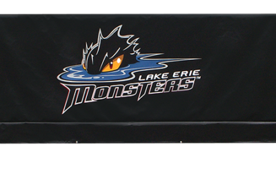 lake-erie-monsters