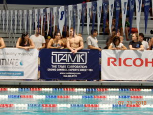 Barriers Around A Pool